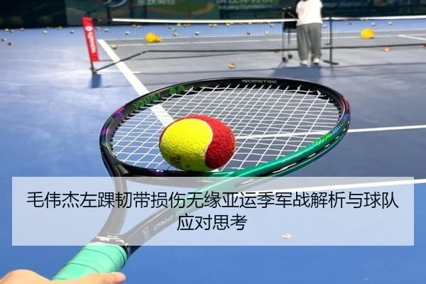 毛伟杰左踝韧带损伤无缘亚运季军战解析与球队应对思考